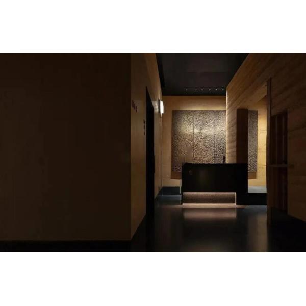 DOUX EN PIERRE FLEXIBLE ENFONCÉ DE LA TERRE UNE PREUVE DE FEU DE NIVEAU EN VENTE CHAUDE DE MUR INTÉRIEUR DE FAÇADE