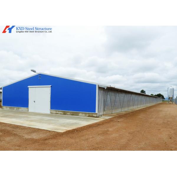 Broiler Poultry Prefab Houses Steel Structure Fully Automated Chicken Farming Equipment