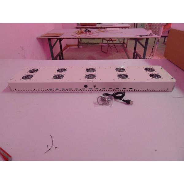 2018 1000W led grow lights led full spectrum grow lights aquaponics used grow lights