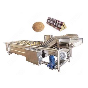 Vegetable Washing Machine