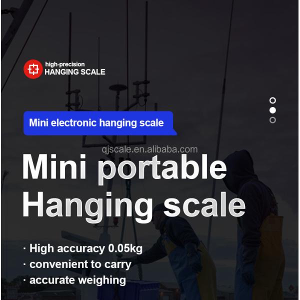 Hanging Scale Digital Electronic 300kg Mini Gram Feature LCD/LED Display Tare Function for Luggage Weighing OEM/ODM