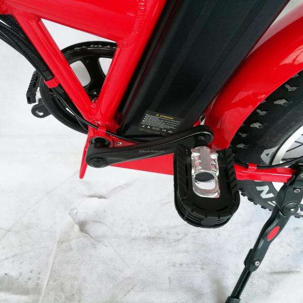 1000W 48V 21AH 7 Speed Disc Brake 20