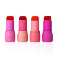 Internet Celebrity Design 5g Lipstick Tube For All Kinds Of Red Color
