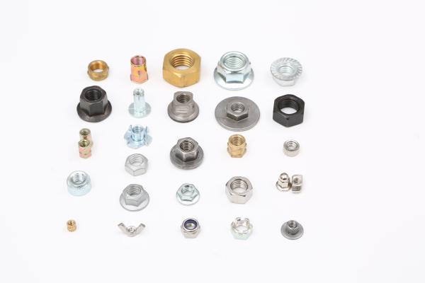 Cold Heading Customized Stainless Steel Nut Metric Systems DIN ISO Standard