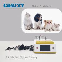 980nm Diode Laser Device for Animal Care and Veterinary Physical Therapy Vet Dental Clinic Use Machine