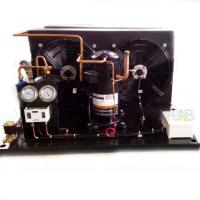 Compressor de refrigeração ar de condensação 220V da unidade da refrigeração de ZB15L R404A
