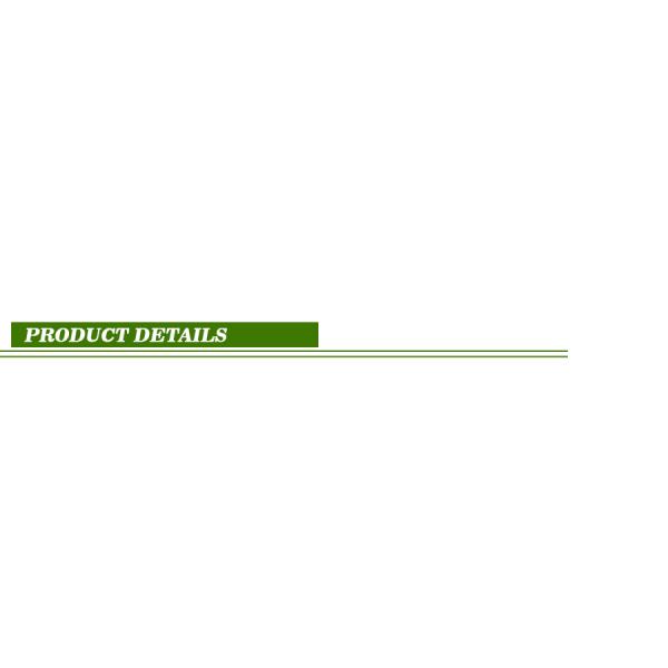 6.6KW OBC Batterie automobile 6600W EV Chargeur de chariot de golf à courant alternatif pour Lifepo4, Ncm, lto AGM