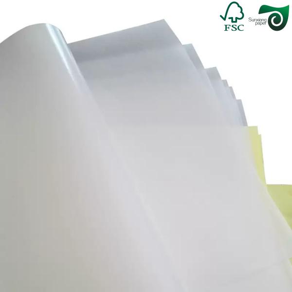 Acid Free White Translucent Glassine Wrapping Paper Rolls For Fruit Vegetable Packaging