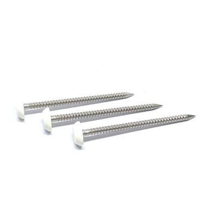 Annular Ring Shank Roofing Plastic Caps Stainless Steel For Outside Construction