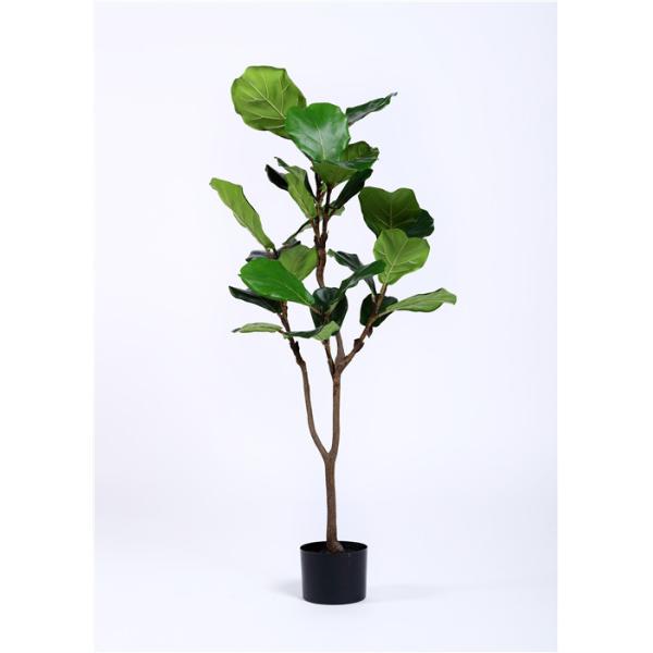 High End Silk Ficus Tree , Good Touching Artificial Garden Plants High Imitation