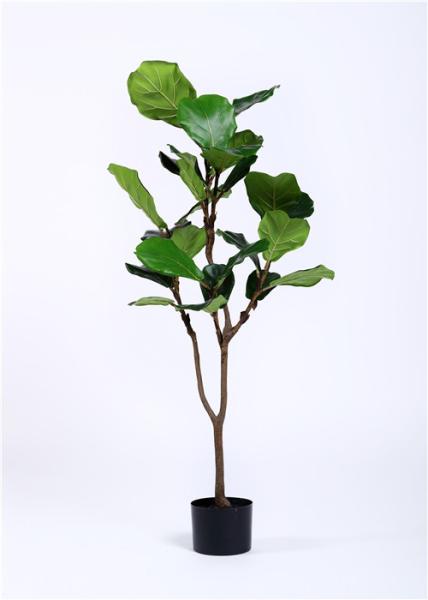High End Silk Ficus Tree , Good Touching Artificial Garden Plants High Imitation