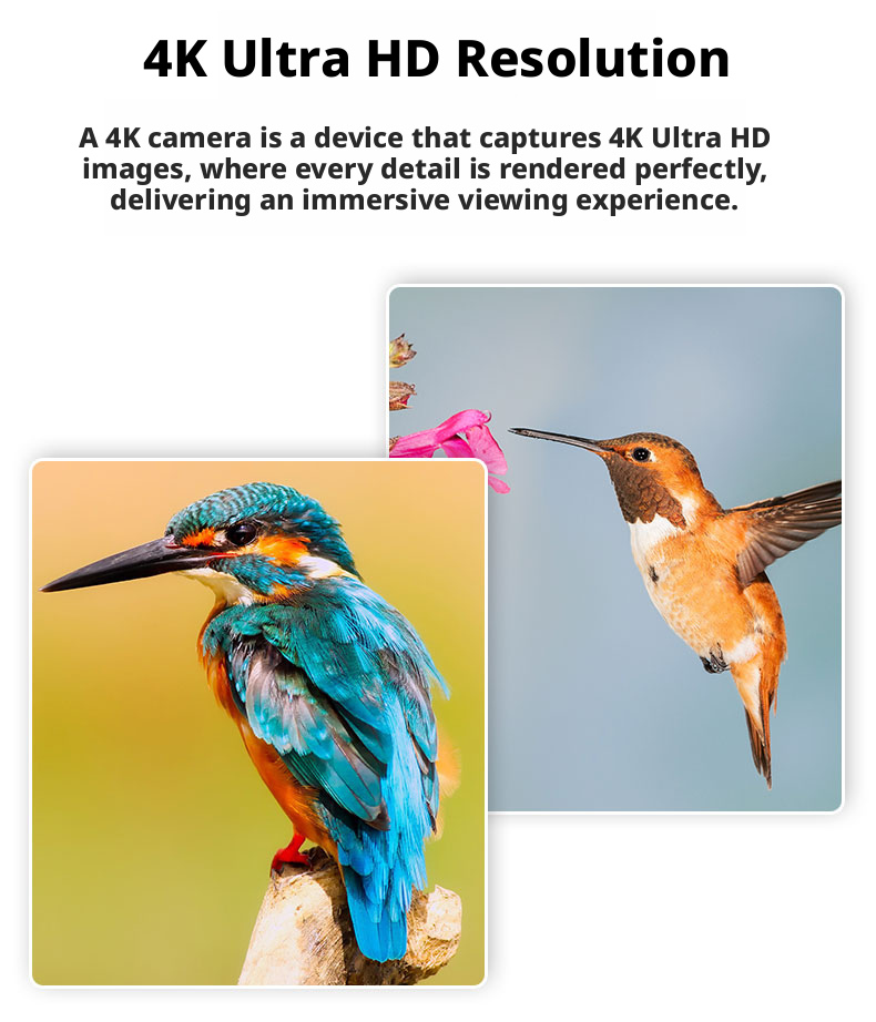 4k Panoramic Sport Camera Slow Motion Time Lapse Cycling Camera Diving Camera 4K Action Camera 170° Wide Angle Control WiFi
