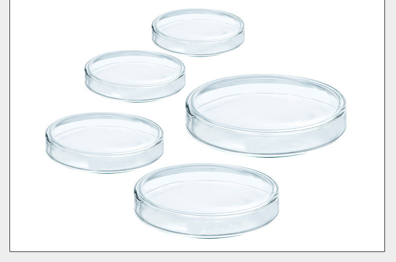 Glass Petri Dishes 90mm 60mm 75mm 120mm 150mm 180mm Cell Culture High Borosilicate Flat Model Fifty Jiangsu Origin
