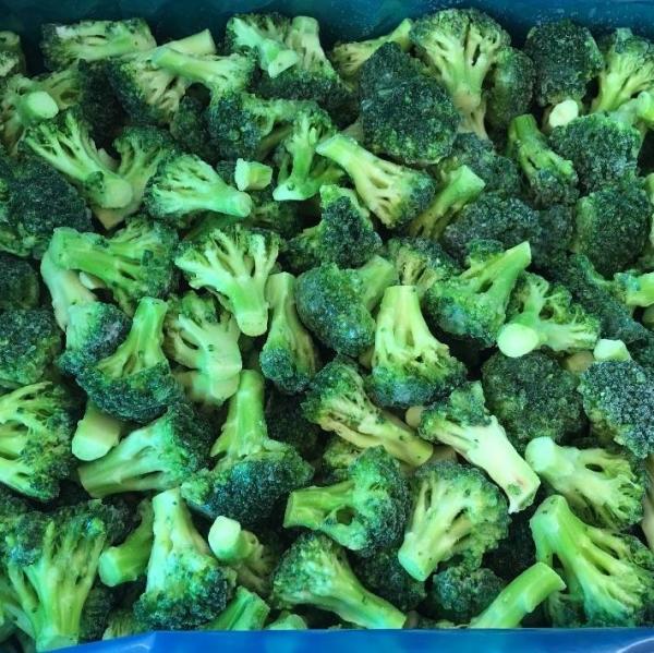 High Quality IQF Frozen Broccoli Ready Stock for Restaurants Wholesale Price