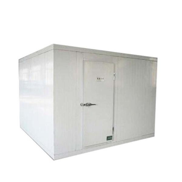 Supermarket Big Warehouse Cold Room / Frozen Beef Meat Freezer Room