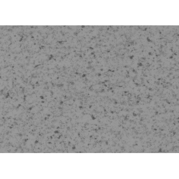 School 2×20m Homogeneous Vinyl Flooring