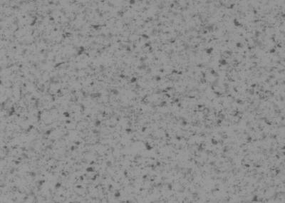 School  2×20m Homogeneous Vinyl Flooring