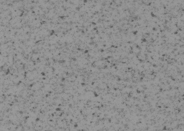 School  2×20m Homogeneous Vinyl Flooring