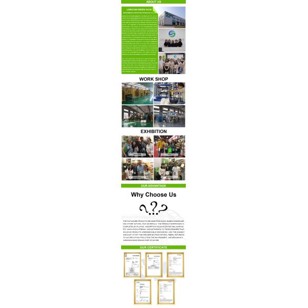 утвари багассы 16cm Biodegradable устранимые для оптовой продажи фабрики партии