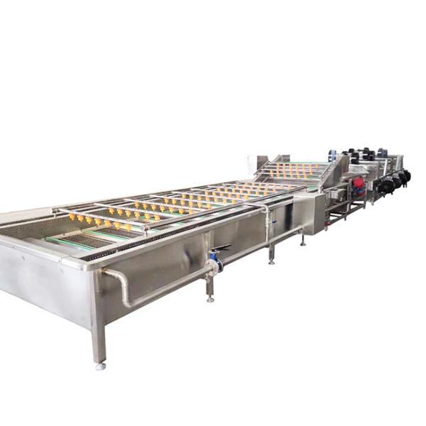 Водопереработка 400 кг 800 кг/ч Машина для стирки листовых овощей