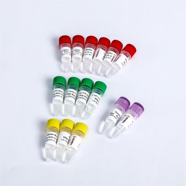 96 rxns Fast DNA Library Prep Kit K004-B Good Amplification Capability