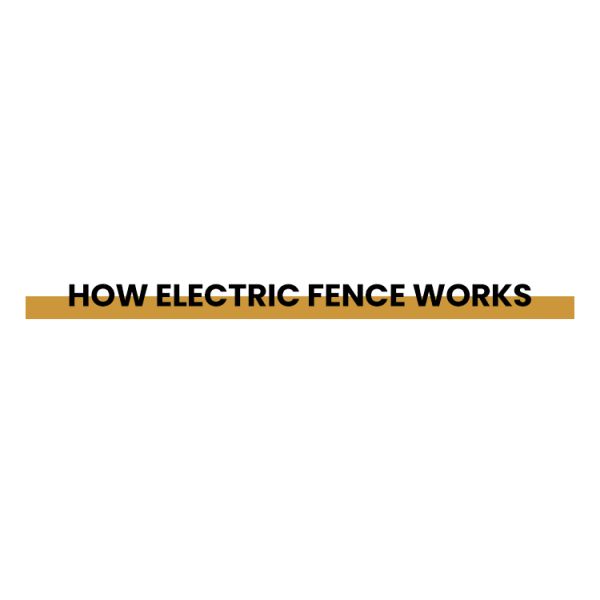 Eco Friendly Rectangle Electric Security Fence Residential Corrosion Proof