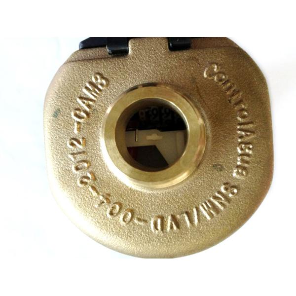 Domestic Multi Jet Brass Water Meter Anti-theft for Cold / Hot Water LXH-15A