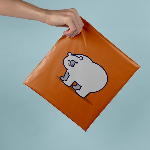 Waterproof Recyclable Mailer Bags Customized Biodegradable Mailer Bags Reduce Waste