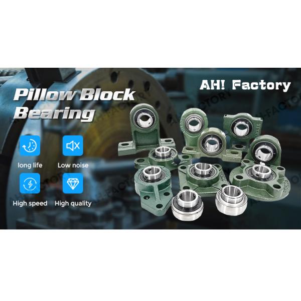 Stainless Steel Cage Pillow Block Bearing UCP205-16 UCF205-16 UCT205-16 UCFB205-16