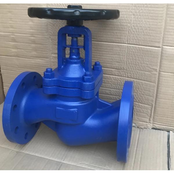 DIN bellows globe valve PN16 body GG25