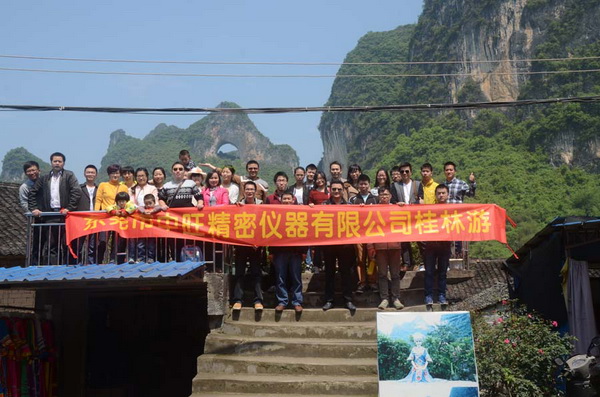 Guangdong Hoyamo Precision Instrument Limited