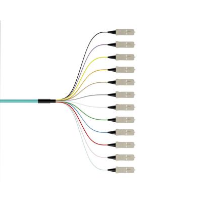 Wavelength 850nm/1310nm/1550nm 12Color-Coded Bunch Ribbon Type SC Fiber Optic Pigtails