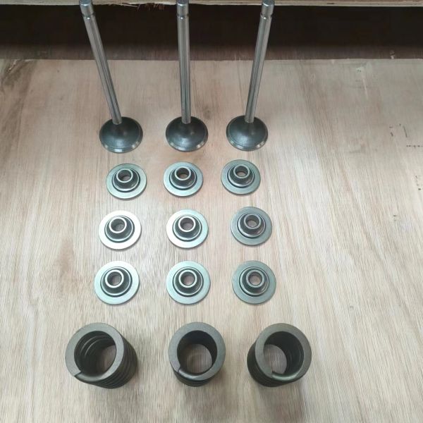 6L ISLe QSL8.9 QSL9 Guide Tube 394264 Exhaust Valve 4089762 3969637 Intake Valve 4089761 3970727 Excavator