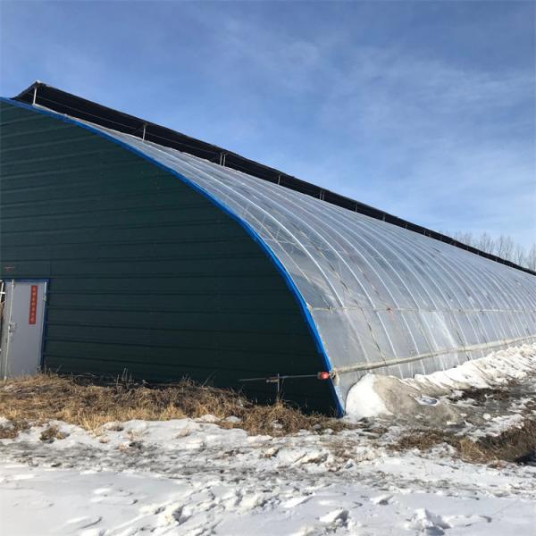 Túnel solar passivo do filme plástico da estufa do inverno da área fria único