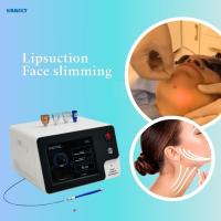 Machine de lipolyse laser professionnelle 980nm 1470nm pour la fonte des graisses profondes et les solutions de sculpture amincissante du visage