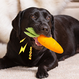 Dog Puppy Toys Pack, Puppy Chew Toys for Fun Teeth Cleaning, Dog Squeak Toys,Treat Dispenser Ball, Tug of War Toy