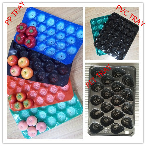 15LB 30g 0.11mm Thickness Tomato Protective Packing Plastic Trays for Fresh Fruit and Vegetable Best Selling Canada and Mexico