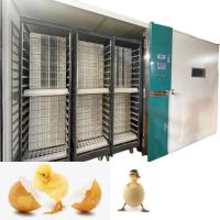 Hachure de l'incubateur automatique 19200 d'oeufs de poulet de large échelle du taux 98%