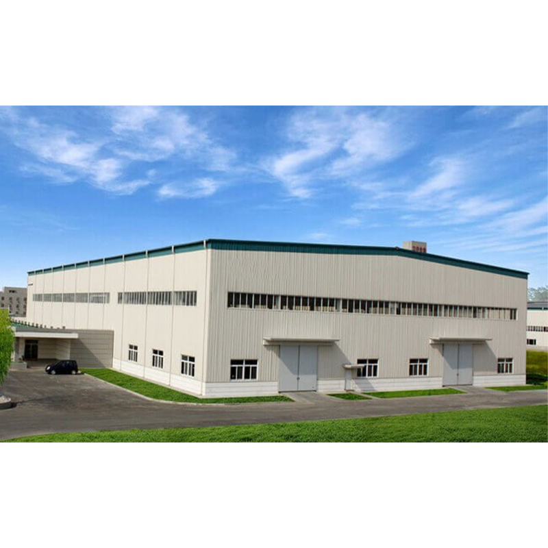 Modern Design Prefab Steel Workshops Q235 Q345 Steel Building Factory Easy Install