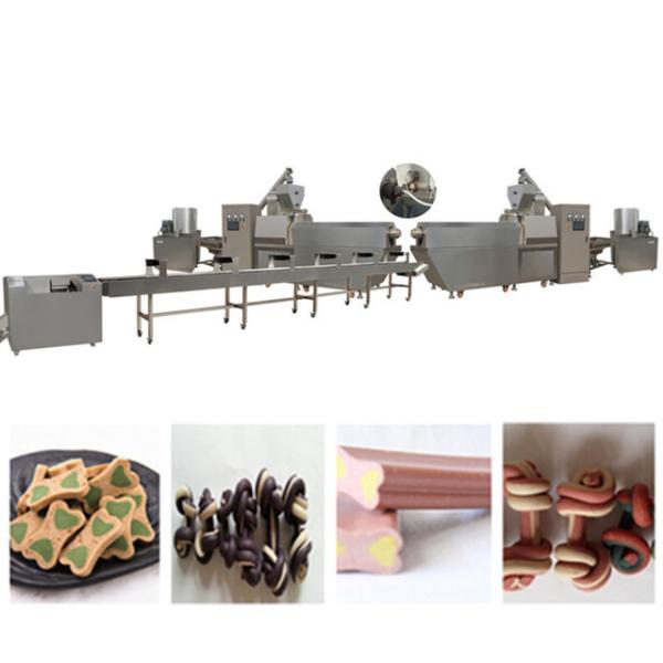 CE Approved Automatic  Dog Food Extruder with Capacity 200-250kg , Pet Treats / Dog Chew Food Processing Line