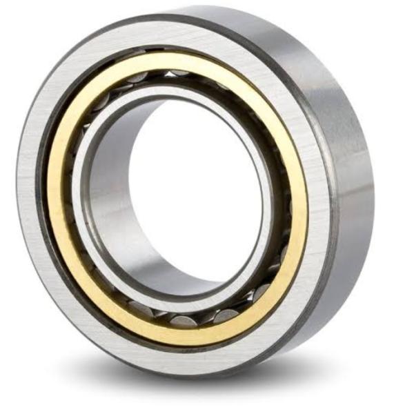 N309 NU309 NJ 309 45x100x25mm cylinder roller bearing Engineering Machinery Forklift