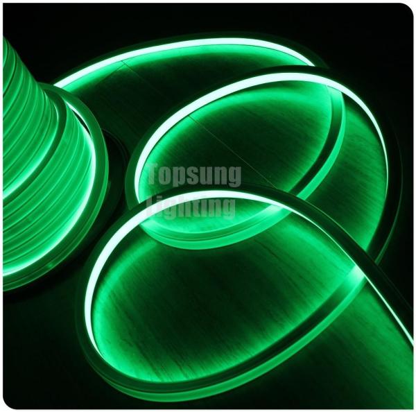 Lâmpadas de neon verde de 110V para quartos
