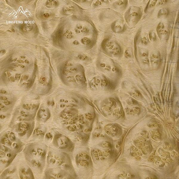 Faisceau de faisceau de bois naturel de 0,45 mm avec support de tissu