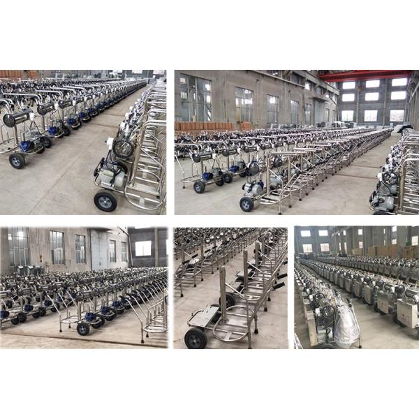 Single Bucket 220v Cow Milking Machine 89*72*102cm