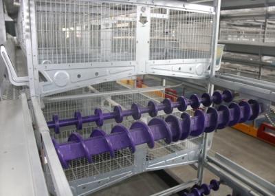 8 Tiers Poultry Farm Feeding System Smooth Surface Save Energy Consumption