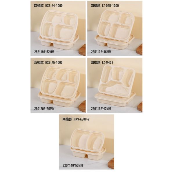 Rectangular Plastic Food Containers with Lids for Storage and Transport