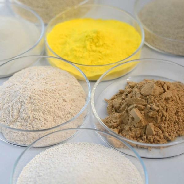 High Activity Neutral Protease for Industrial Fields Feed Leather Dehairing and More