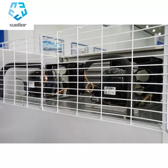 Commercial Glass Door Refrigerator Stainless Steel Upright Display Freezer