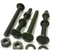 Stainless Steel DIN 603 Round Head Square Neck Bolt With Nut ASME B18.6.3