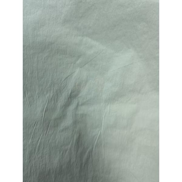40D*40D 100%N 90GSM Nylon Fabric